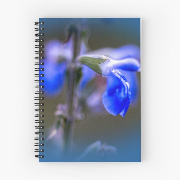 Item preview, Borage designed and sold by indiafrankk.