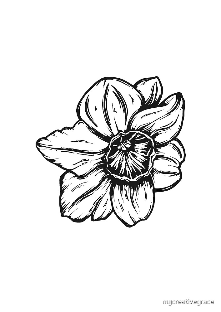 "Narcissus December Birth Flower Black & White Pen Drawing" by