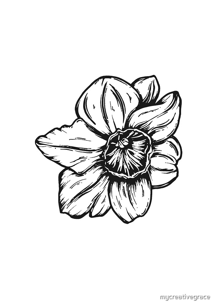 Narcisse Décembre Birth Flower Dessin Au Stylo Noir Et