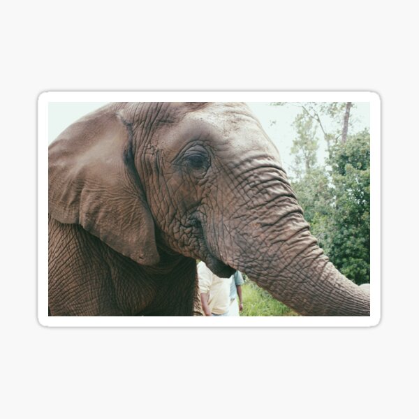 Item preview, Happy Elephant designed and sold by sarahdillon.