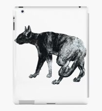 Black Cat Black Cat iPad Case/Skin