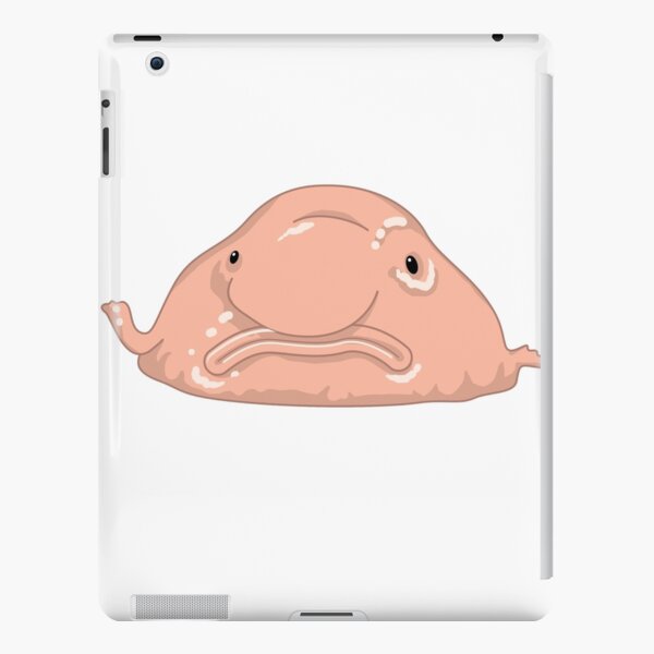 Blobfish Animal FlowVella Snout PNG, Clipart, Animal, Blobfish, Cheek,  Closeup, Face Free PNG Download