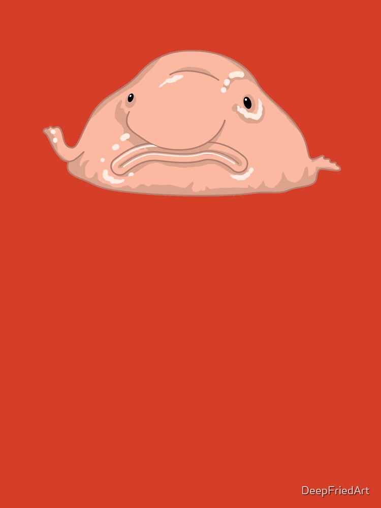 Blob Fish Funny Face Fish | Photographic Print