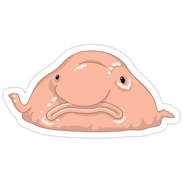 "Blob Fish Funny Face Fish " Stickers by DeepFriedArt | Redbubble