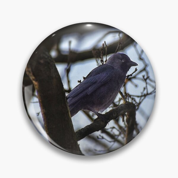 Item preview, The Jackdaw designed and sold by WatkinsPhotos.
