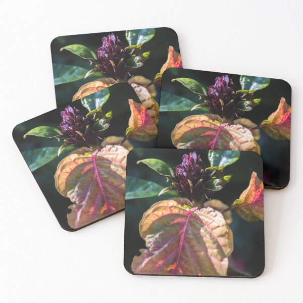Item preview, Subtle colours designed and sold by indiafrankk.