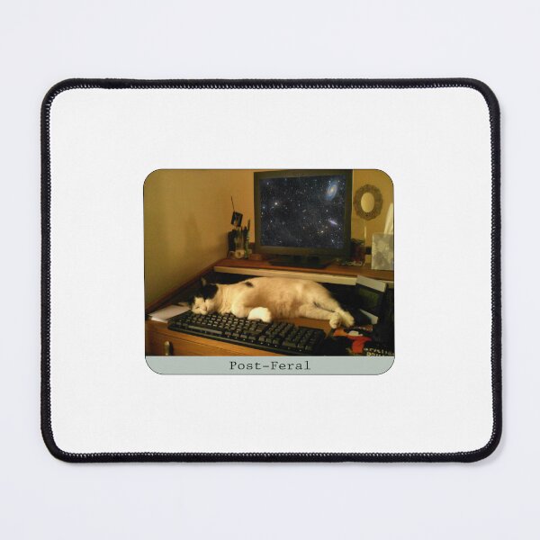 Item preview, Cooper The Cat's Post-Feral Life designed and sold by Chemobius.