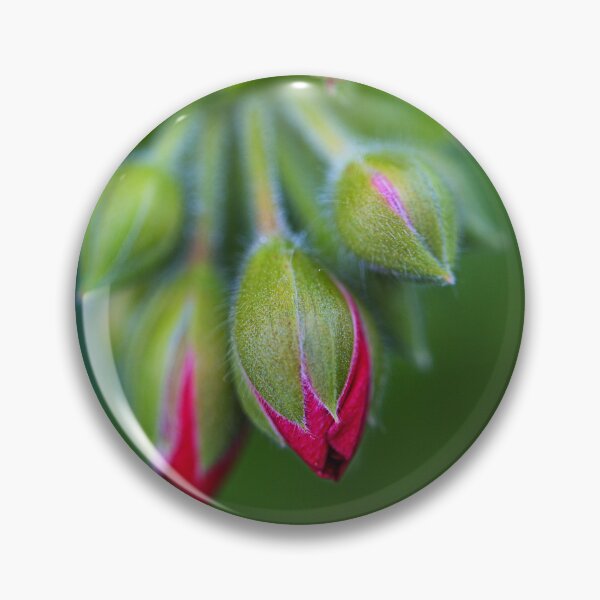 Item preview, Cranesbill Red Buds designed and sold by Joy Watson - Natural Light Photography .