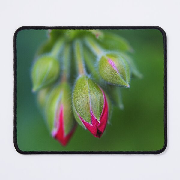 Item preview, Cranesbill Red Buds designed and sold by Joy Watson - Natural Light Photography .