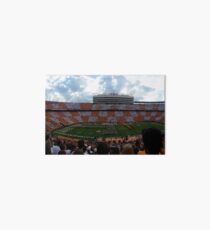 Neyland Stadium Art Board