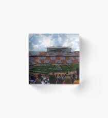 Neyland Stadium Acrylic Block