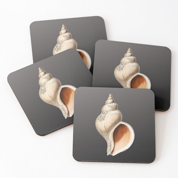 Item preview, Pretty tropical shell designed and sold by FGCART.