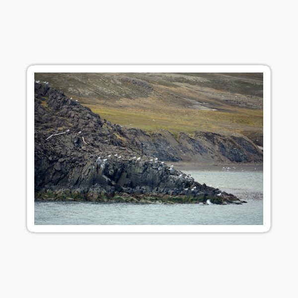 "Svalbard II" Sticker for Sale by mikelopato Redbubble