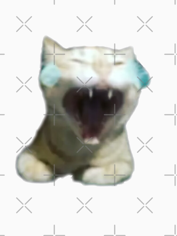 Crying Laughing Cat