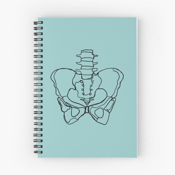 Item preview, Pelvis Line Art designed and sold by Caroline Shea.