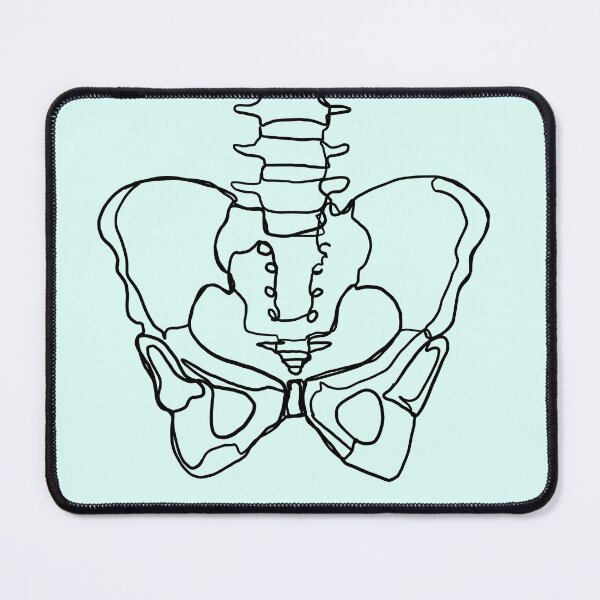 Item preview, Pelvis Line Art designed and sold by Caroline Shea.
