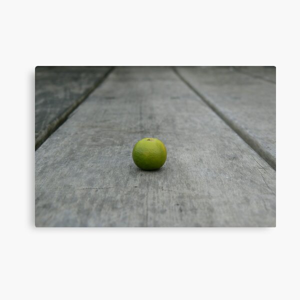 Lime No. 1 Metal Print