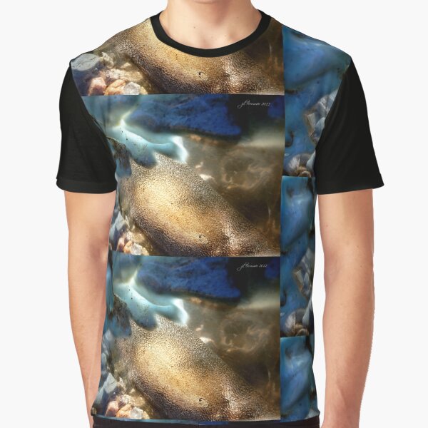 Sea-Through Graphic T-Shirt