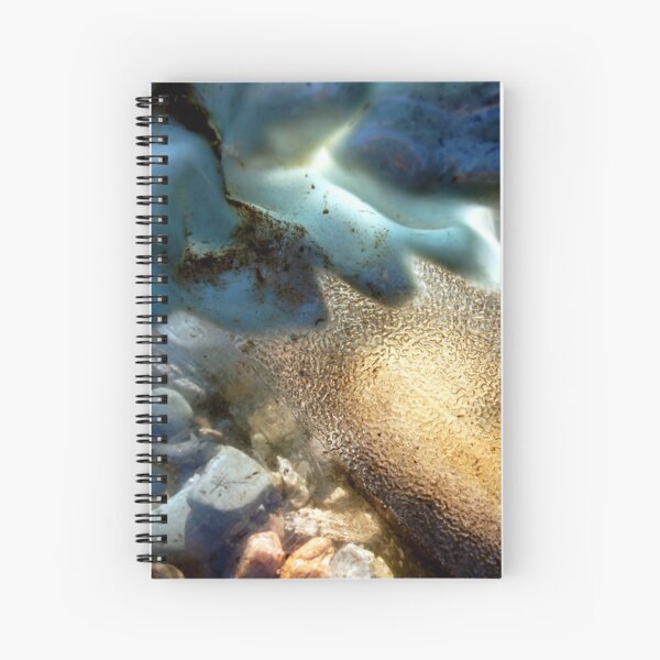 Sea-Through Spiral Notebook