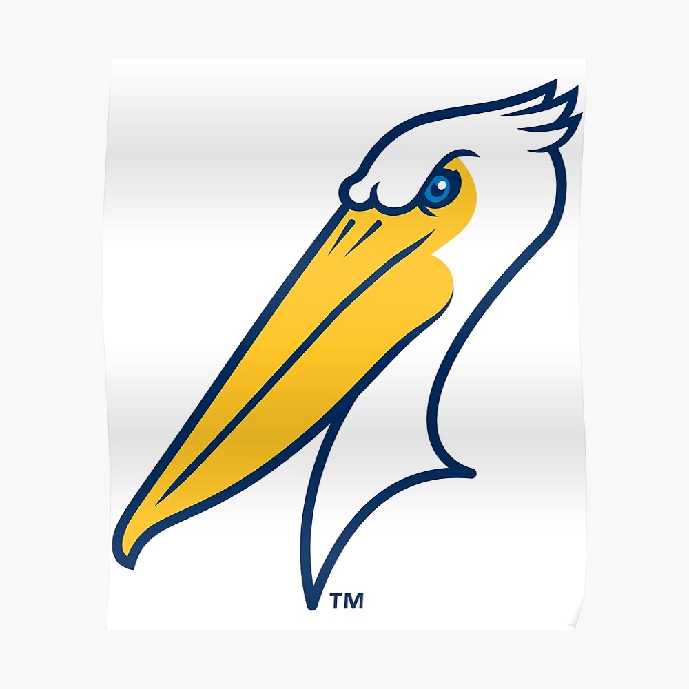 Myrtle Beach Pelicans on X: Two former Pelicans have won Silver