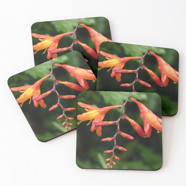 Item preview, Montbretia designed and sold by Follow the Hedgehog.