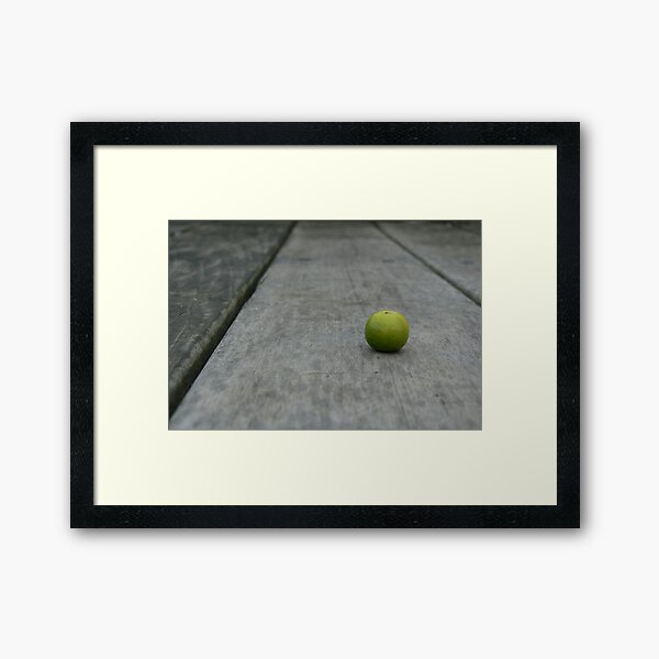 Lime No. 2 Framed Art Print