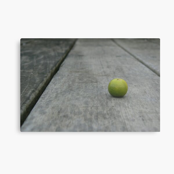 Lime No. 2 Metal Print