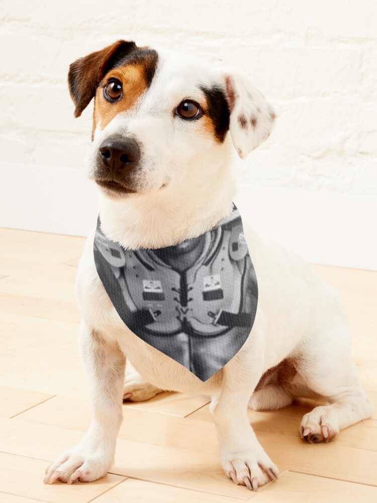 New York Yankees Bandana / NY Yankees / Dog Cat Bandana / -  Australia