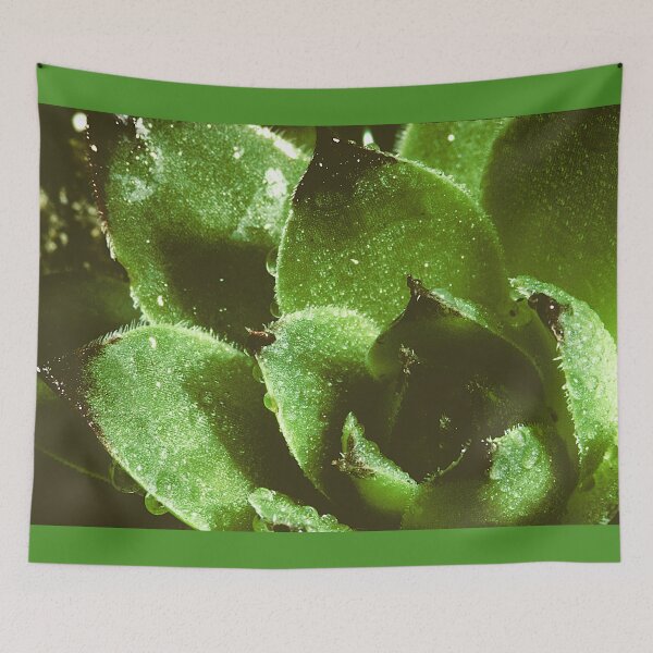 Item preview, Chicken and Hen Closeup designed and sold by Duane  Gamble (Creative Photo Products).