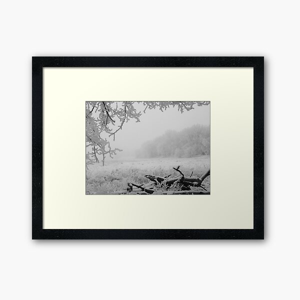 Winter Meadow Framed Art Print