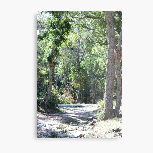 South East Queensland Bush Metal Print