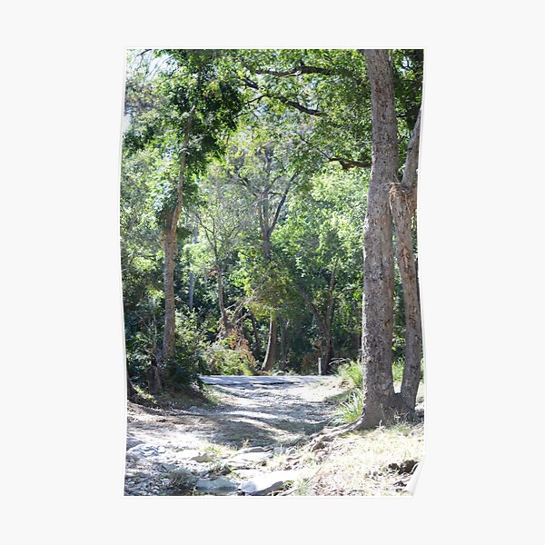 South East Queensland Bush Poster