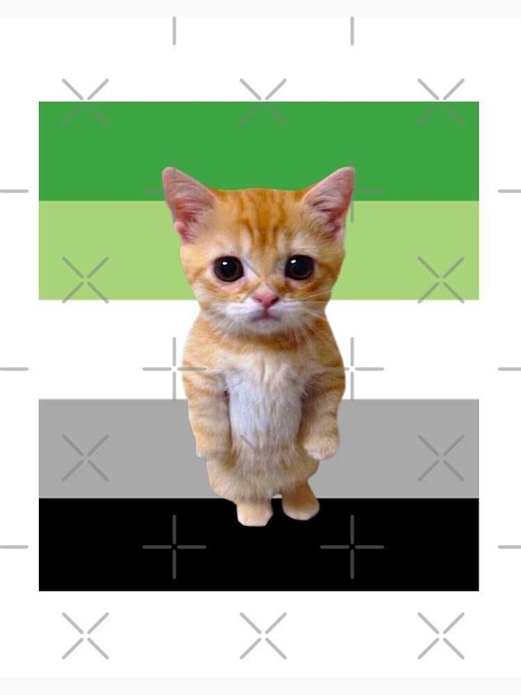 El Gato, The Raise a Floppa Wiki