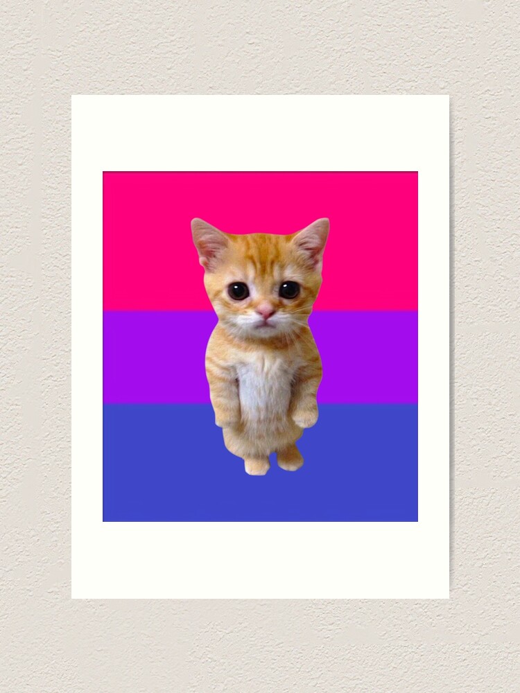 Mandela Catalogue Intruder Cat  Art Print for Sale by da-swag-shop