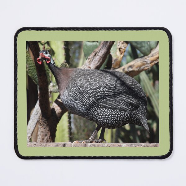 Item preview, Guineafowl (Ginney Hen) designed and sold by CarolM.
