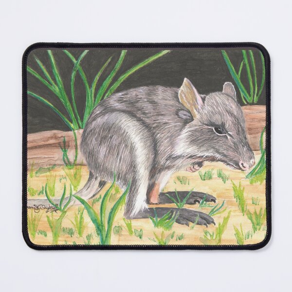 Item preview, Rufio the Rufous Bettong designed and sold by wonkiekneeart.