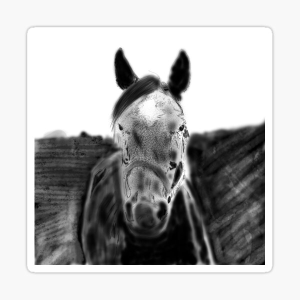 dark-horse-in-charcoal-digital-wall-and-wood-and-canvas-mounted-art