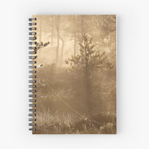 Item preview, 15.6.2017: Summer Morning at Marsh II designed and sold by Petri Volanen.