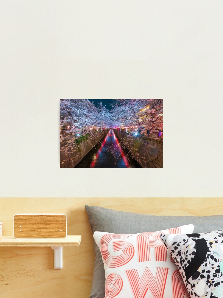 Thumbnail 1 of 3, Photographic Print, Meguro River Japan designed and sold by Adrian Alford Photography.