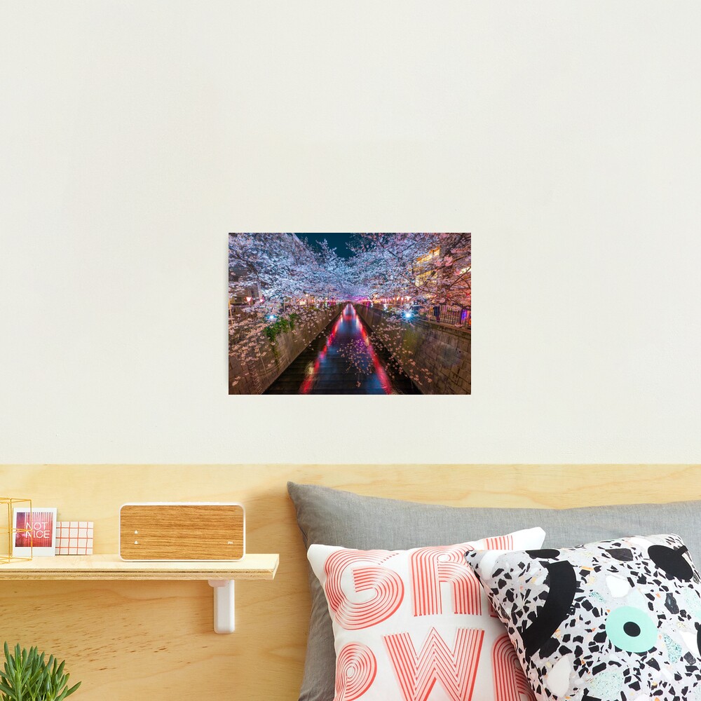 Meguro River Japan Photographic Print