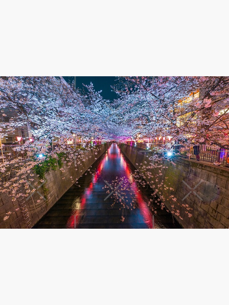 Thumbnail 3 of 3, Photographic Print, Meguro River Japan designed and sold by AdrianAlford.