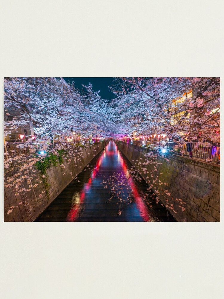 Alternate view of Meguro River Japan Photographic Print