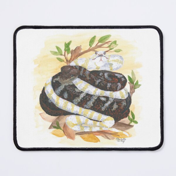 Item preview, Carpet Pythons designed and sold by wonkiekneeart.