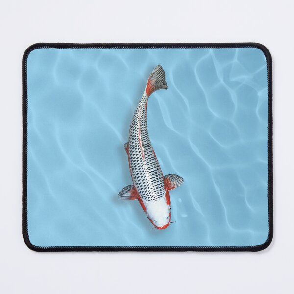 Item preview, Koi Fish Asagi in Blue Pool designed and sold by Koiartsandus.