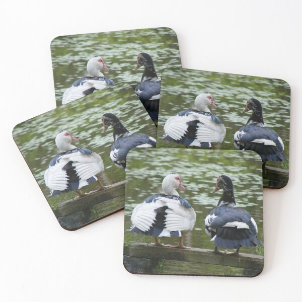 Item preview, Muscovy Ducks designed and sold by imphavok.