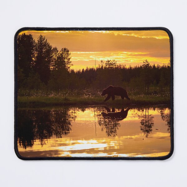 Item preview, Golden hour. Brown bear designed and sold by Jouko Lehto Photography.