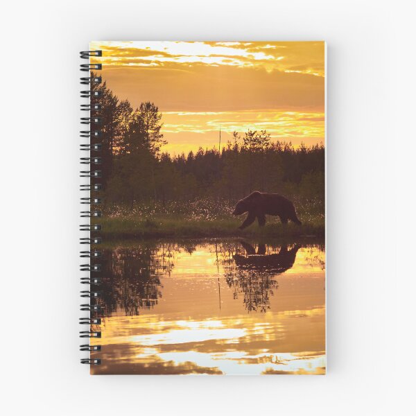 Item preview, Golden hour. Brown bear designed and sold by Jouko Lehto Photography.