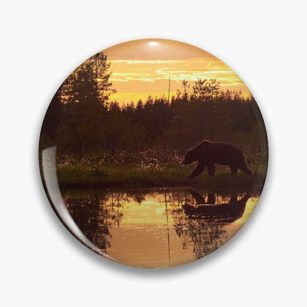 Item preview, Golden hour. Brown bear designed and sold by Jouko Lehto Photography.