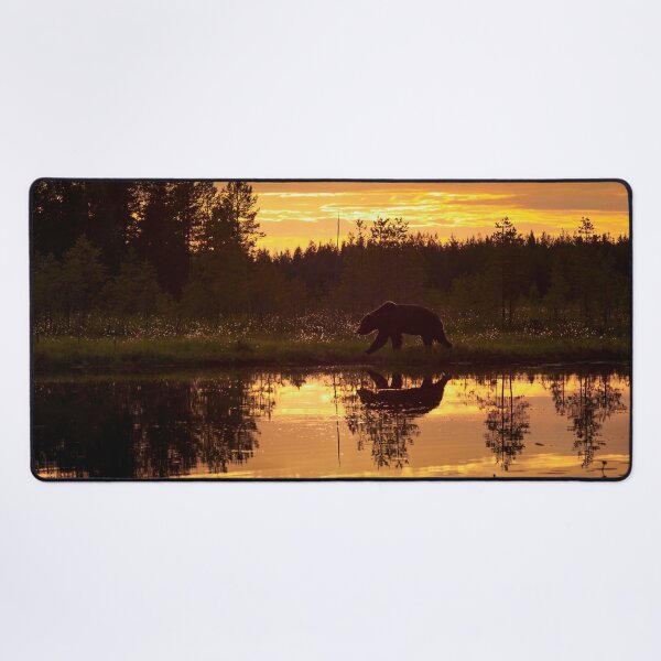Item preview, Golden hour. Brown bear designed and sold by Jouko Lehto Photography.