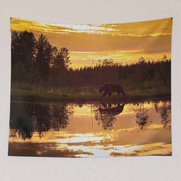 Item preview, Golden hour. Brown bear designed and sold by Jouko Lehto Photography.